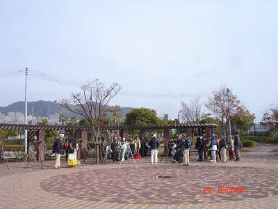 DSC00017-T.jpg