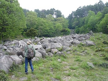 DSC02231_T.jpg