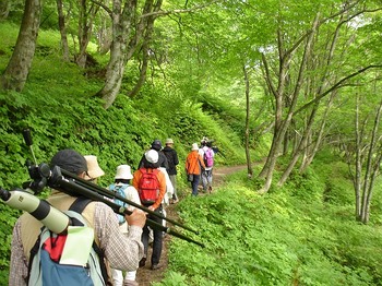 DSC02390_M.jpg