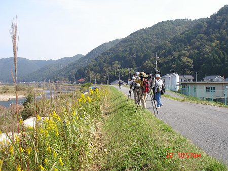 DSC05004-T.jpg