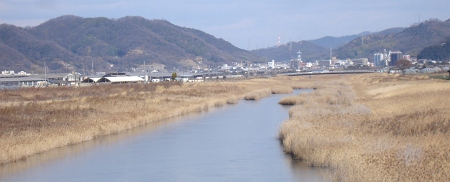 DSC05249_M.JPG