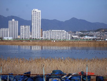 DSC05761-T.jpg