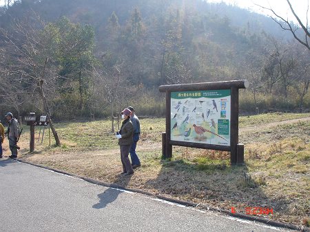 DSC06675-T.jpg