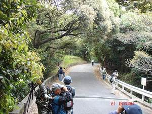 DSC07048-S-thumbnail2.jpg