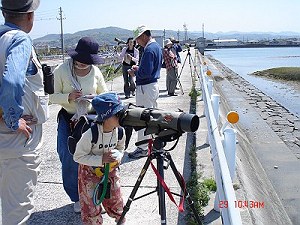 DSC07291-T_M.jpg