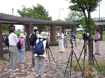 DSC07885_M.jpg