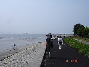 DSC08241-T.jpg