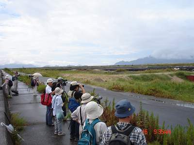 DSC08935-S.jpg