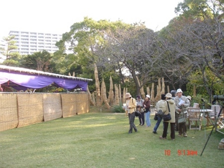 DSC09623_M.jpg