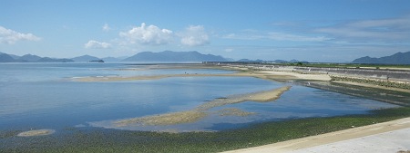 IMGP0196_M.JPG