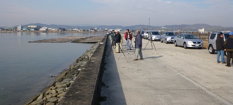 IMGP0935_M.jpg