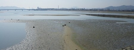 IMGP0975-T.jpg