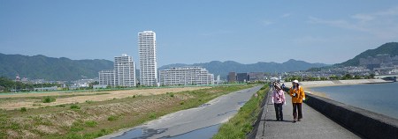 IMGP1038-T.jpg