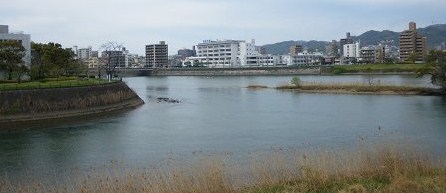 IMGP1730_M.jpg