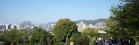 IMGP2257-T.jpg