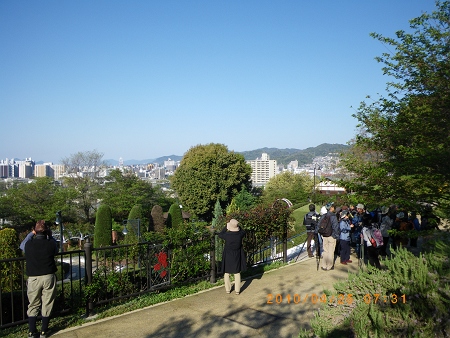 IMGP2257-T.jpg