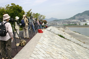 IMG_1604-thumbnail2.jpg